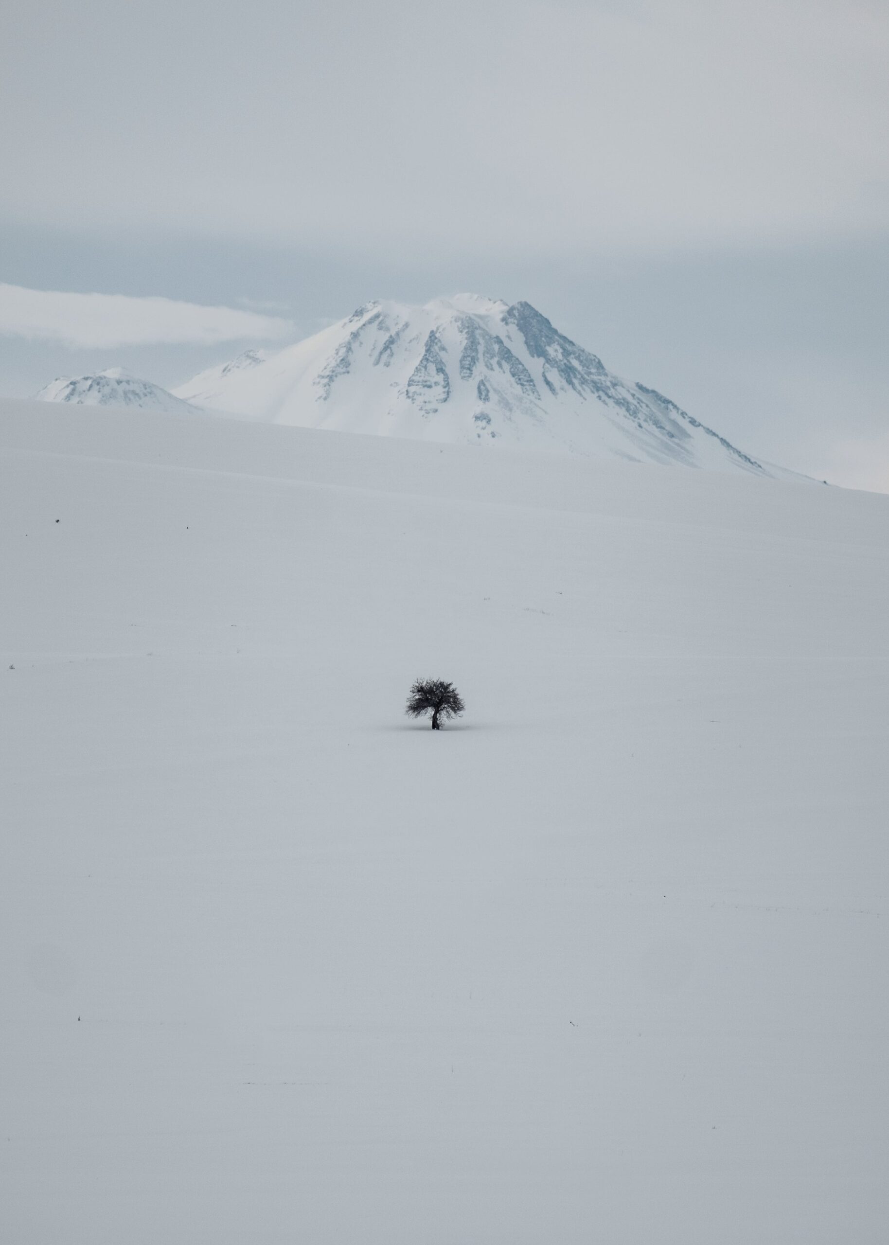 Test Post 6